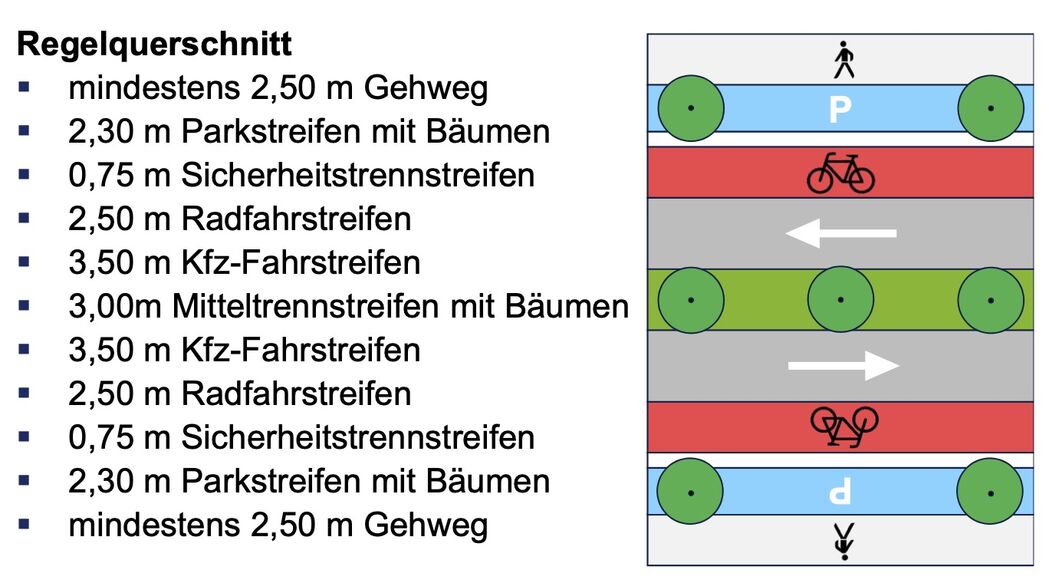 Abbildung: 1: Regelquerschnitt für die neue Alleestraße. So soll die Alleestraße grundsätzlich aufgeteilt sein. (Quelle: Stadt Bochum)